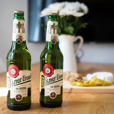 Lägenhet U Prazdroje