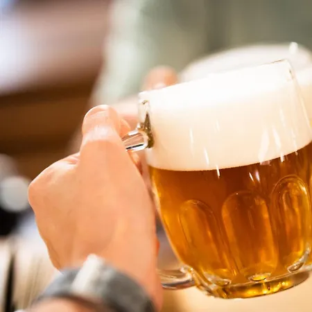 Апартаменты U Prazdroje *